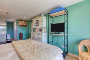 a bedroom with green walls and a bed with a television at Aux Amelierets in Saint-Just