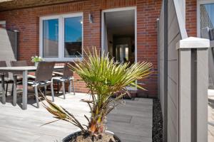 a plant in a vase sitting on a patio at Ferienhaus Düün Drööm in Ording