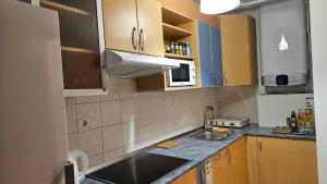 a kitchen with a sink and a counter top at Apartment Laguna 70 in Izola