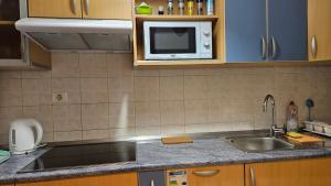 a kitchen with a sink and a microwave at Apartment Laguna 70 in Izola