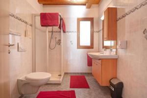 a bathroom with a toilet and a shower and a sink at Apt Bergblick Hinterproslhof in Sarntal +37 photos