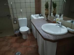 a bathroom with a toilet and a sink at Los Jazmines in Benalúa de Guadix +9 photos