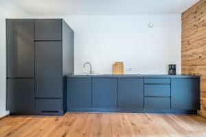 an empty kitchen with blue cabinets and a refrigerator at Naturapartments Alpreid Altholz in San Pancrazio dʼUltimo +7 photos