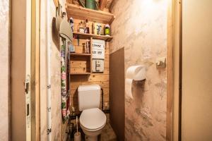 a small bathroom with a toilet in a room at Chalet 4p Simple - La Gélinotte in Verchaix +11 photos