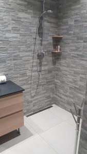 a shower in a bathroom with a stone wall at Studio charmant avec jardin in Saint-Rémy-de-Provence +6 photos