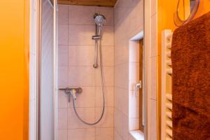 a shower stall in a bathroom with a shower at Ferienwohnung Faden in Konstanz +17 photos