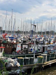 a bunch of boats docked in a marina at Ferienwohnung Ostseeclick in Damp