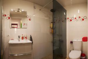 a bathroom with a toilet and a sink and a shower at Studio in Saint-Victor-de-Cessieu +7 photos