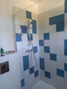 a bathroom with a shower with blue and white tiles at Chambre Bleue - Ostau la Lutz in Saint-Germain-de-Calberte