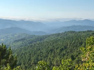 a view of a forested area with mountains in the background at Chambre Bleue - Ostau la Lutz in Saint-Germain-de-Calberte +2 photos