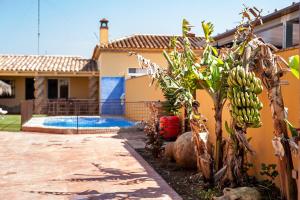 a banana tree in front of a house with a pool at Chalet Rocío - solo familias in Conil de la Frontera