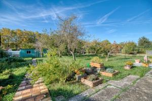 a garden with several plants in wooden boxes at Le Clos Rilda en Bounet in Villefranche-de-Lauragais