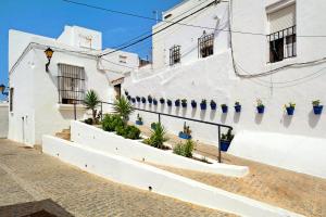 a white building with potted plants on the stairs at Casa Rincón del Beso in Vejer de la Frontera