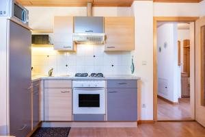a kitchen with white appliances and wooden cabinets at Weingartnerhof Calendula in San Genesio Atesino