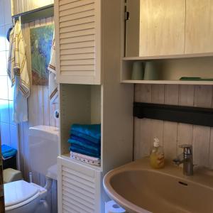 a bathroom with a sink and a toilet at Ferienwohung zum Wasserfall in Üxheim +18 photos