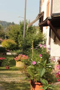 a garden of flowers in front of a house at Ferienwohung zum Wasserfall in Üxheim