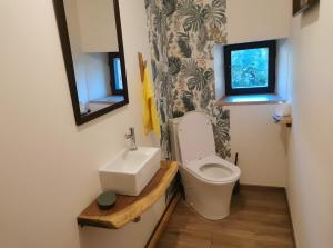 a bathroom with a toilet and a sink at Gîte La Forge Faverolles in Arcomie +17 photos
