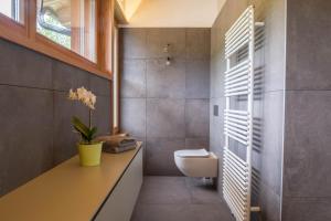 a bathroom with a toilet and a window at Haus Lichtenstern in Soprabolzano