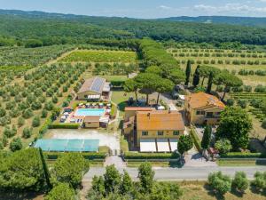 an aerial view of a estate with a vineyard at Il Pino - monolocale Lavanda in Cecina
