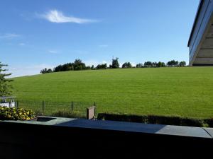 a view of a large field of green grass at Ferienwohnungen Bußmann in Herscheid