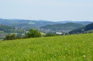 a green hillside with a field of grass and trees at Ferienwohnungen Bußmann in Herscheid +35 photos