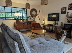 a dog standing in a living room with a couch at La Fée Maison, chambres d'hôtes in Plouër-sur-Rance