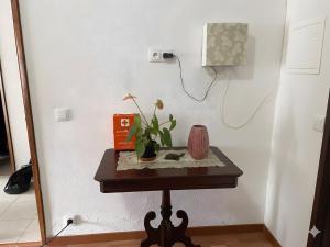 a table with a plant and a phone on a wall at apartment near the airport in Ponta Delgada