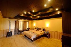a bedroom with a bed and a stove in it at Agyaat Vaas in Bāgi +10 photos