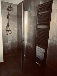 a bathroom with a shower with a glass door at Zone 3 in Erfurt +24 photos