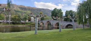 a bridge over a river with trees in the grass at Casa rural El rincón de Gredos in Navaluenga