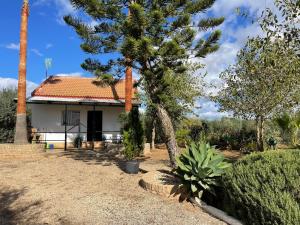 a house with a palm tree in front of it at El Paraíso Del Olivar in Bollullos de la Mitación
