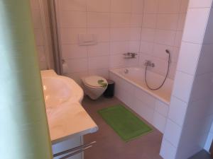 a bathroom with a sink and a toilet and a shower at Ferienwohnung Kreuzbühl in Albstadt