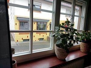 two potted plants sitting on a window sill at Kinderfreundlich Am Dorflädchen in Blankenheim
