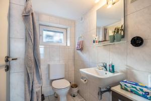a small bathroom with a toilet and a sink at Modernes Apartment am Deister in Springe +14 photos