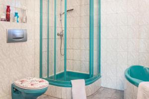 a bathroom with a shower with a toilet and a sink at Ferienwohnung Brenda in Schillingsfürst +24 photos