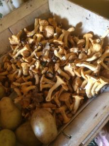 eine Holzkiste gefüllt mit Pilzen und Kartoffeln in der Unterkunft Les Alliots in Coullons
