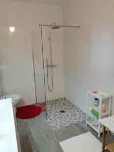 ein Badezimmer mit Dusche und Toilette in der Unterkunft Les Alliots in Coullons