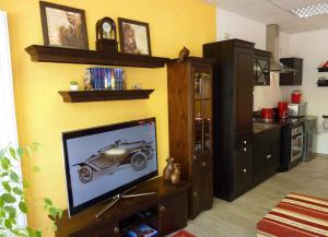 a living room with a flat screen tv on a wall at Ferienwohnung Hasi 2 am Kurpark in Bad Frankenhausen