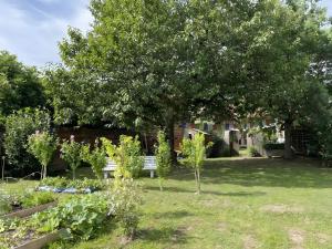 a garden with a tree and chairs in a yard at Chambre d'hôte Léontine in Lamagistère
