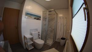 a small bathroom with a shower and a toilet at Ferienhaus Da Vinci in Kirchheim +15 photos