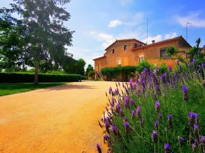 a house with purple flowers in front of a dirt road at Mas Pareta - La Parra in Fonolleras