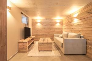 a living room with a couch and a tv at Lisalice appartement in Les Villards-sur-Thônes