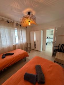 a bedroom with two beds and a chandelier at La douce Escale maison 2 chambres à 50 m de la plage in Royan