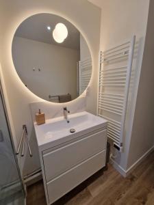 a bathroom with a sink and a mirror at Cadre d'exception et nature - 2 Maisons - 15 pers max in Aigné