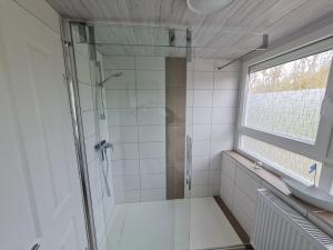 a shower with a glass door in a bathroom at Ferienwohnung Inselblick Vitzdorf in Fehmarn