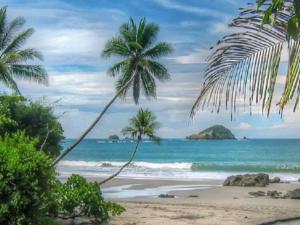 a beach with two palm trees and the ocean at Villa 3 - High End Studio Apartment with kitchen, Playa Chiquita in Cocles +11 photos
