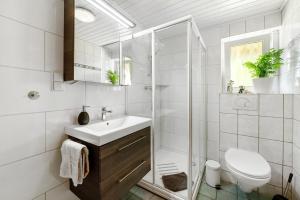 a bathroom with a shower and a sink and a toilet at Ferienhäuschen Kleine Auszeit in Seesbach +21 photos