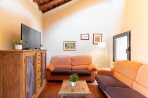 a living room with a couch and a tv at La Casona y Casitas de Tabladillo in Santa María la Real de Nieva