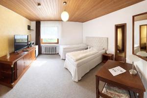 a living room with a bed and a television at BLACKCOMs Erika in Goslar