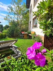 a garden with pink flowers and a bench in a yard at Auszeit zwischen Fellnasen in Bischofsgrün